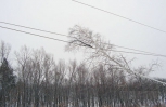 Падение деревьев на провода высоковольтных линий электропередачи — угроза вашей жизни!