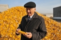 Благодаря кукурузе хозяйство к 2020 году может выйти на объем продукции в миллиард рублей в год.