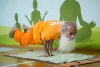 Индийский гуру учил благовещенцев искусству йоги