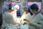 Амурские врачи извлекли из сердца 25-летнего пациента обломки иглы
