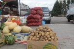 Амурская область собирается в три раза увеличить производство картофеля и овощей