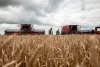 Российских аграриев будут субсидировать за счет экспортной пошлины на зерно