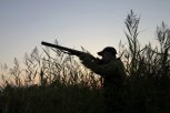 Амурских охотников-нарушителей лишили охотничьего билета и оружия