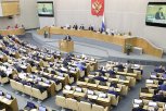 Депутат от Приамурья стал первым зампредом комитета Госдумы по развитию Дальнего Востока и Арктики