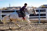 Как вдыхают жизнь в благовещенский ипподром: история «Амурской правды»