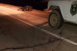 В Архаринском районе насмерть сбили краснокнижного медведя: водителю грозит крупный штраф