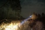 Черные лесорубы «отрубили» от света 16 сел Свободненского района