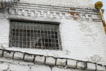 Дразнят лысой: шестилетнюю дочку амурской заключенной побрили без согласия мамы