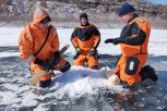В Шимановском районе спасатели взорвали лед на Амуре (видео)