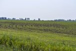 Фермера в Приамурье оштрафовали за неправильное использование пестицидов