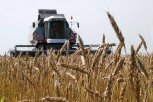 Амурская область предложила на ВЭФ сделать единой цену на российскую сельхозтехнику по всей стране