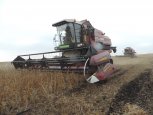Амурские производители зерна получат поддержку российского правительства