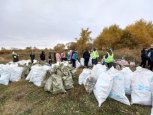 Больше тонны мусора собрали участники первого спортивного экозабега вдоль Владимирского озера