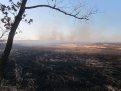 В Амурской области сгорели 300 гектаров особо охраняемой природной территории. Фото: amuroopt.ru