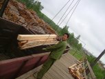 Древесину из Амурской области покупает Китай и Казахстан
