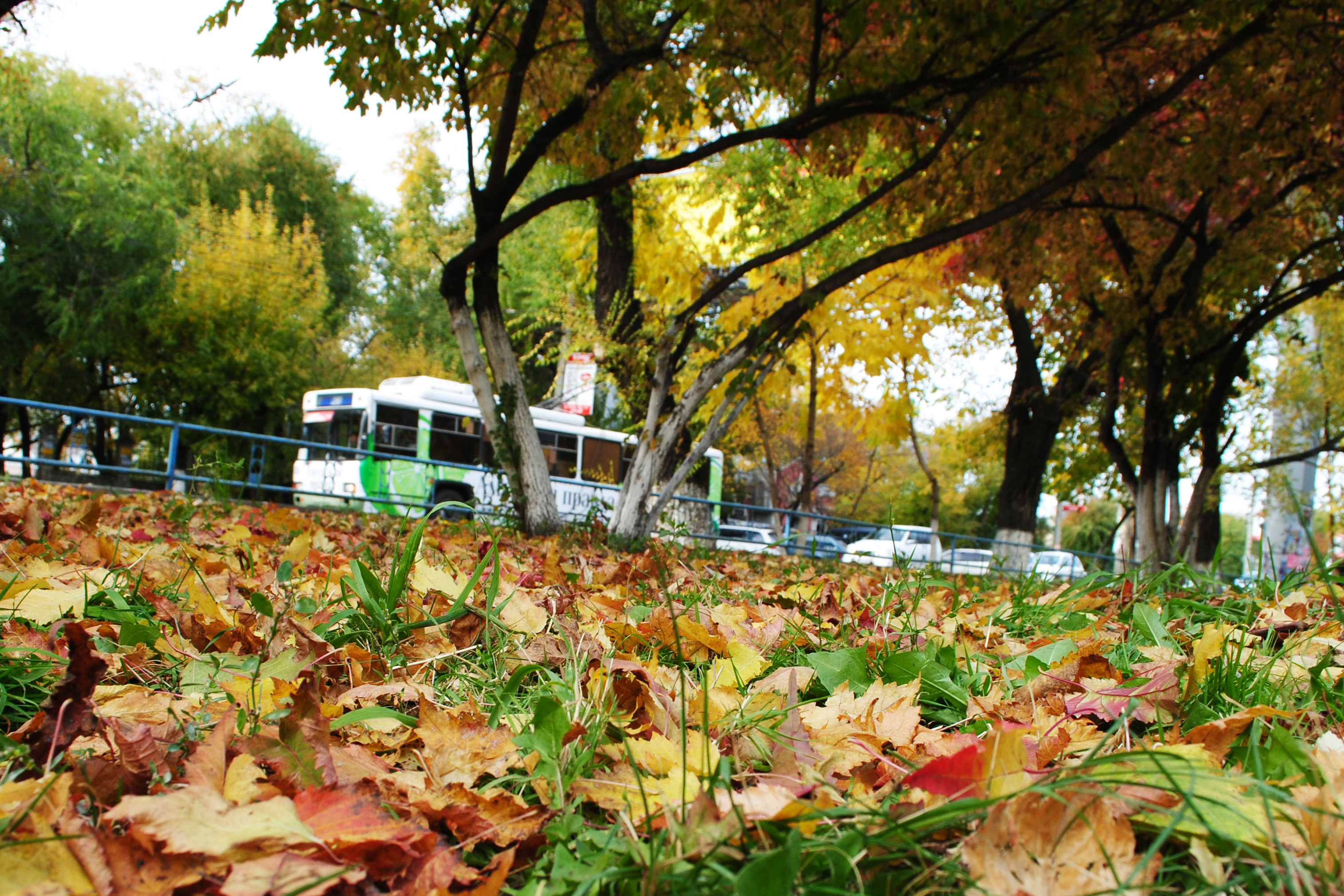 Фото: Архив АП