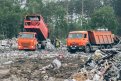 В 2024 году в Приамурье может увеличиться число фотоловушек для поимки «мусорщиков».Фото: amurobl.ru