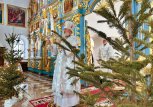Рождество встретили в православных храмах Амурской области