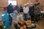 В Приамурье Муравьевский парк запустил электронную систему для сбора пожертвований на корм журавлям