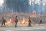 Амурские огнеборцы за сутки потушили 205 гектаров леса