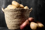 8 советов амурского агронома: как вырастить богатый урожай картофеля