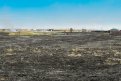 Всего с начала сезона выгорело 2,3 тысячи гектаров. Фото: Алексей Сухушин