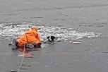 Ползком и с лестницей: в Зее спасатели вызволили из-подо льда двух собак