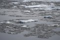 Всему виной - ледоход на реке Зее. Фото: Алексей Сухушин