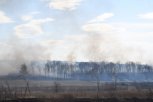 За выжигание сухой травы амурчанину грозит штраф более пяти миллионов рублей