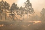 На севере Приамурья в 16 километрах от села ликвидирован природный пожар