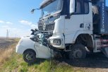 Легковушка под грузовиком: в Тамбовском округе произошла страшная авария с двумя погибшими (видео)