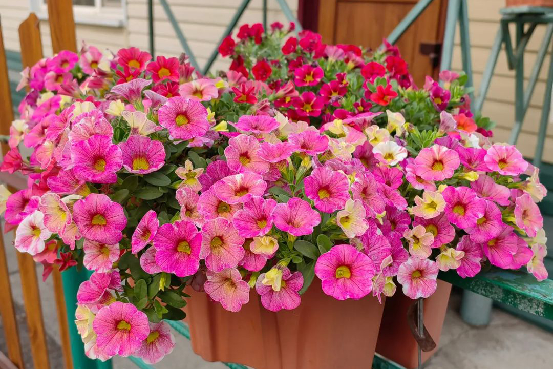 Фото из архива Евгении Ёлгиной