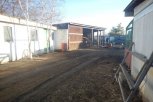 Житель Благовещенска стал подозреваемым в краже коня ради мяса