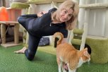 Как котойога снимает стресс у жительниц Благовещенска