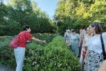 Какие амурские растения регулируют давление и сахар, а какие — помогут нарастить мышечную массу
