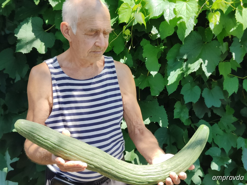 Фото: читатели АП