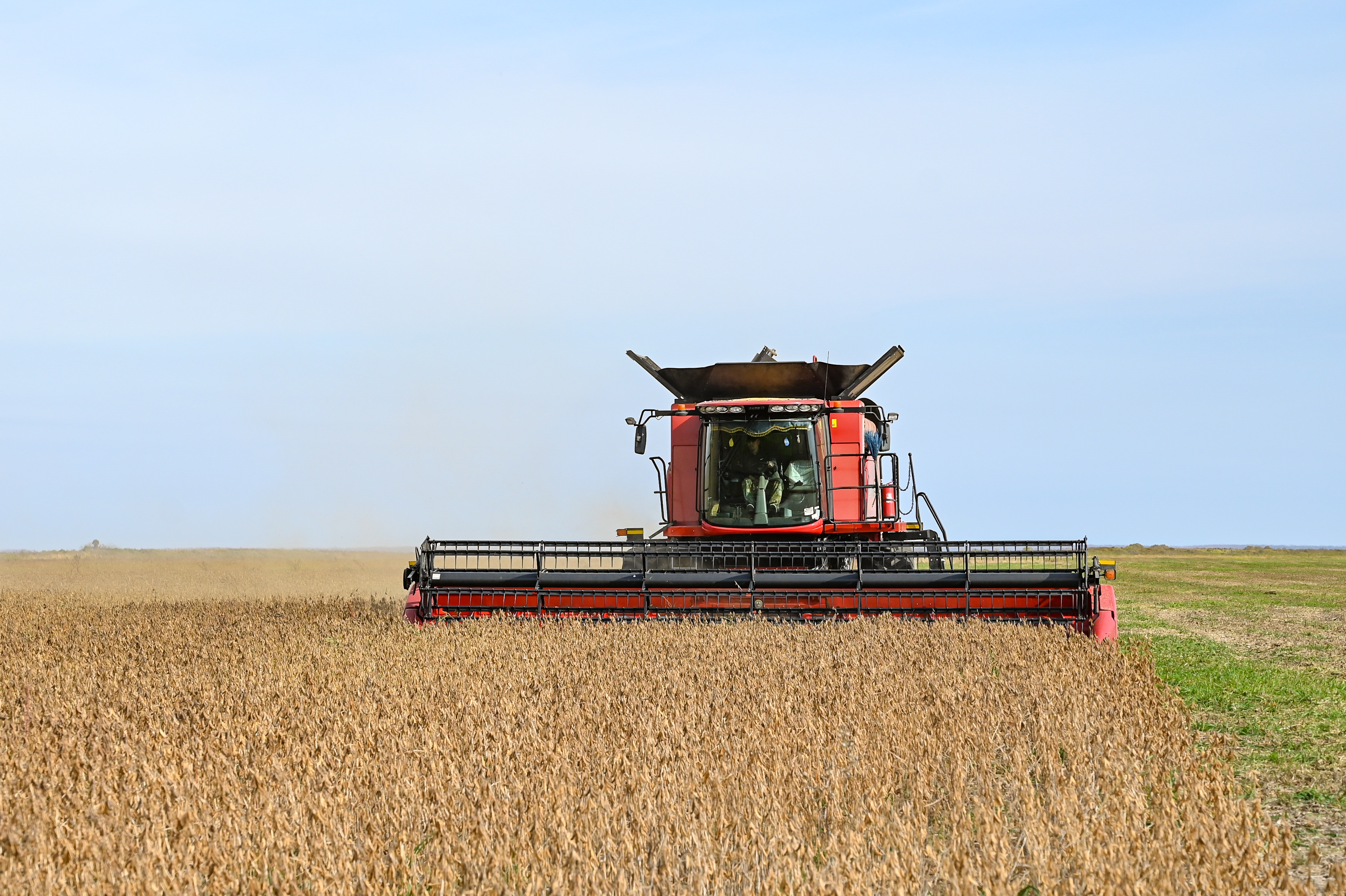 Фото: Алексей Сухушин