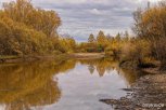 Новый конкурс: «Амурская правда» и «Кэш&Кэрри» дарят подарки за осенние фотографии