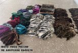 Контрабанду пушнины на 6 миллионов рублей не пропустили за границу на таможне Благовещенска
