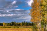 Очей очарование: осенний фотоконкурс собрал полторы сотни кадров от читателей «Амурской правды»