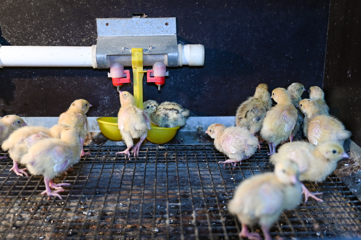 Фото: Алексей Сухушин