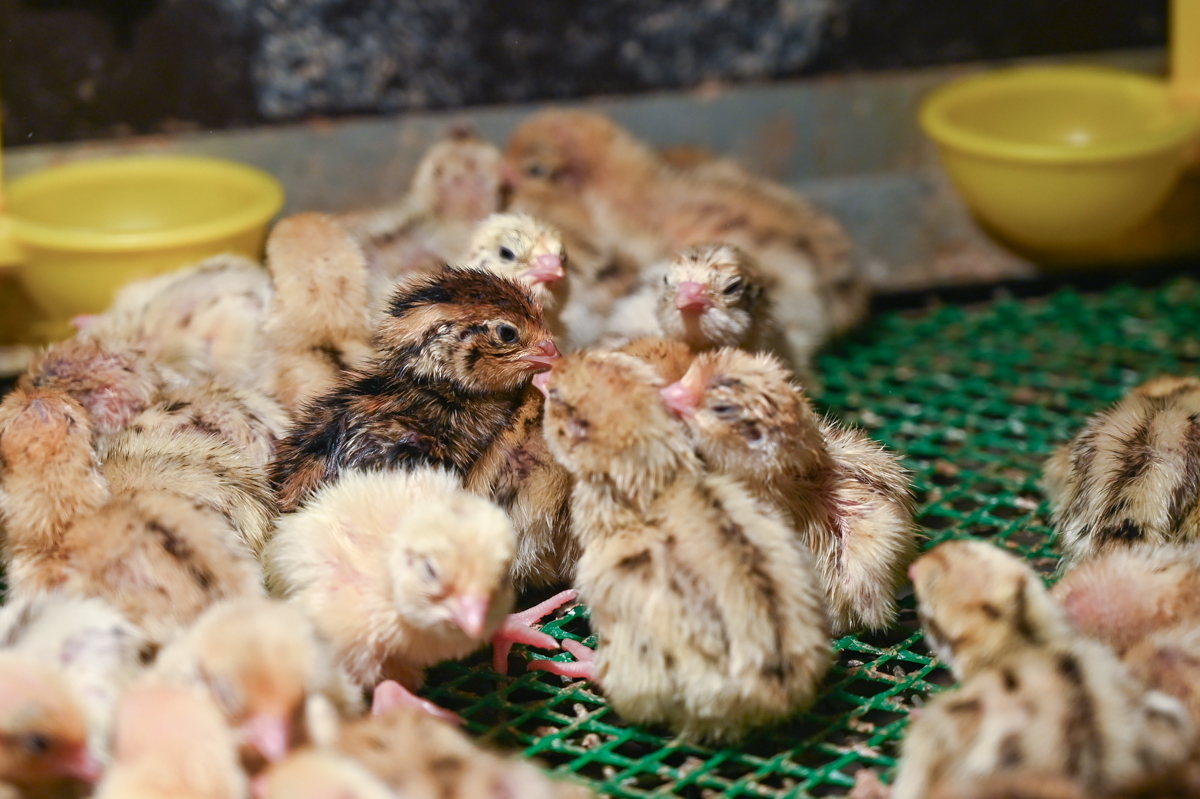 Фото: Алексей Сухушин