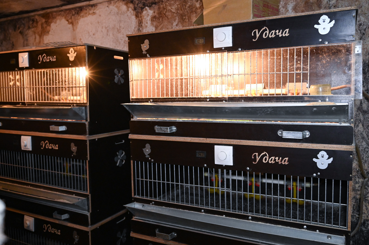 Фото: Алексей Сухушин