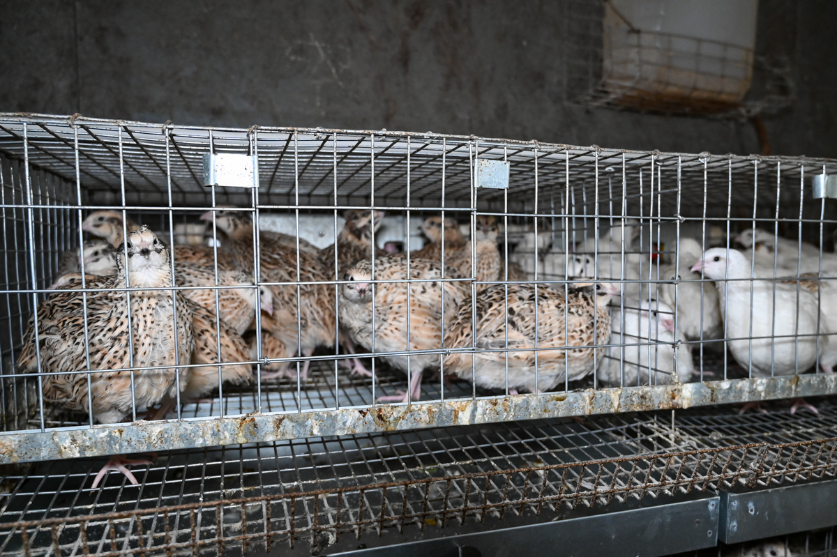 Фото: Алексей Сухушин