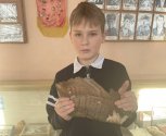Откуда в амурской тайге морские моллюски и верблюды: загадки школьного музея в Береговом