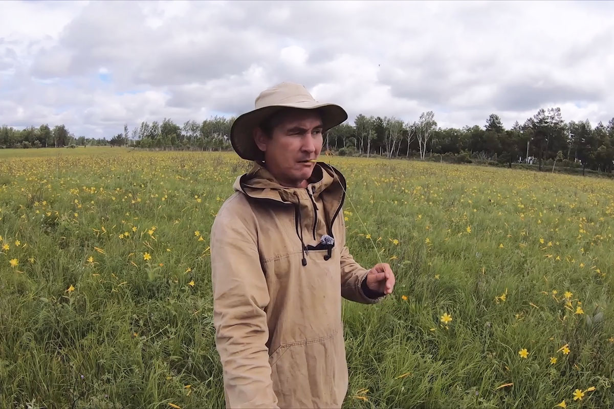 Скриншот из конкурсного видео Ильи Тяна