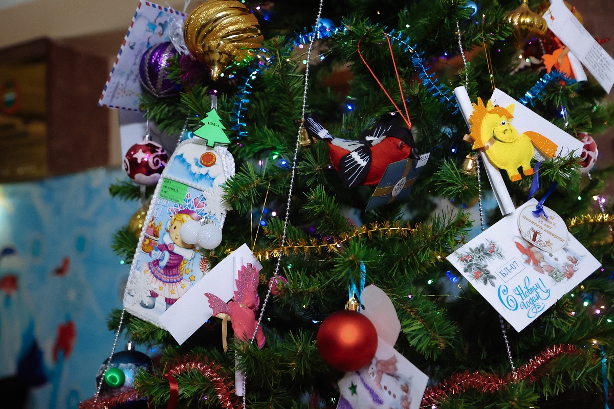 Фото: amurobl.ru