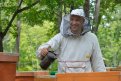 Работа пчеловода — сложная и опасная. Фото: Андрей Оглезнев