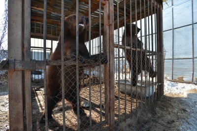 Фото: Андрей Оглезнев