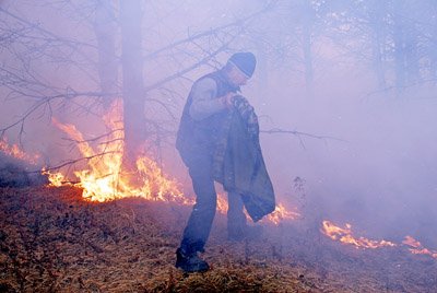 Фото: Архив АП